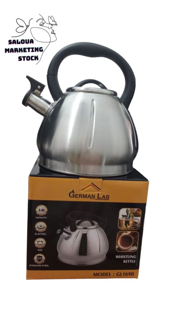 /GL1690/bouilloire/INOX