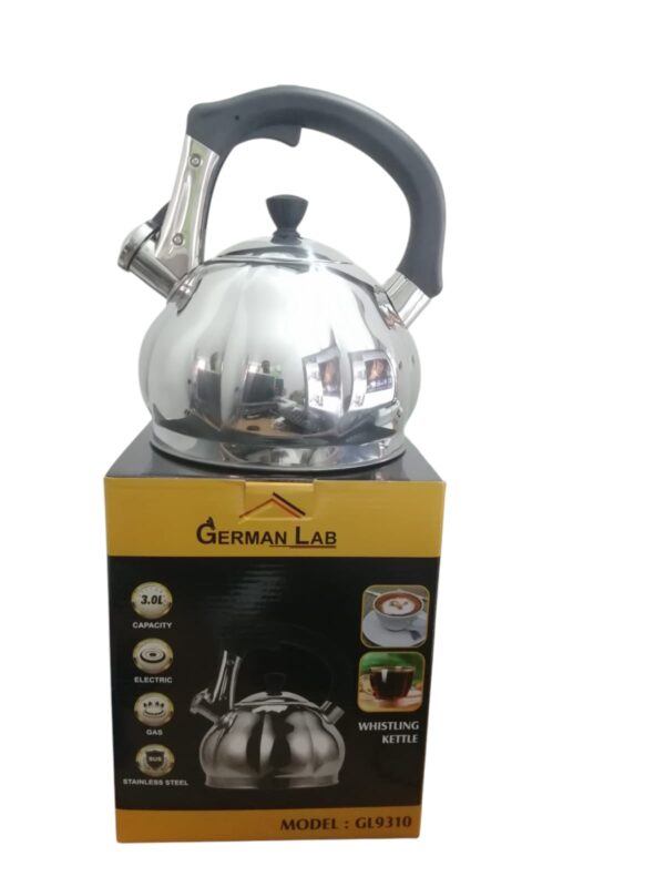 GL9310/bouilloire/INOX