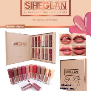 12PCS/ PACK SIHEGLAN
